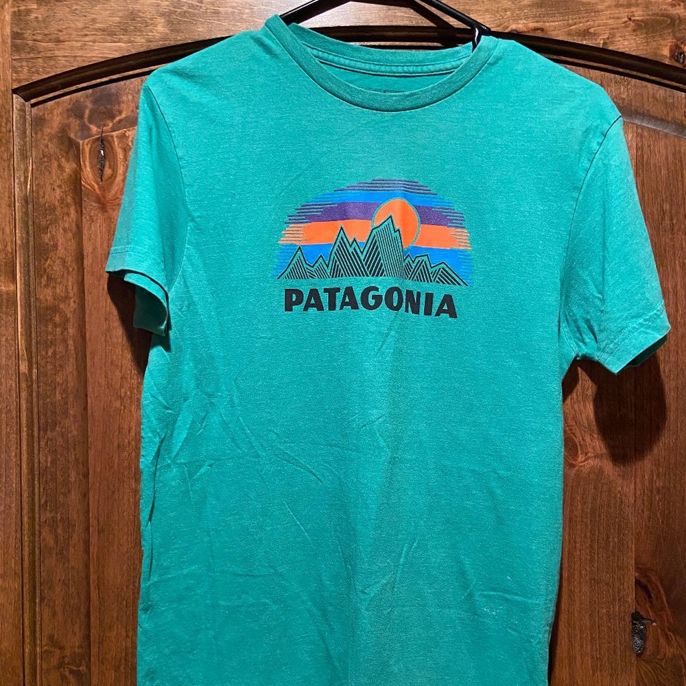 Patagonia Men's Size Small T-shirt